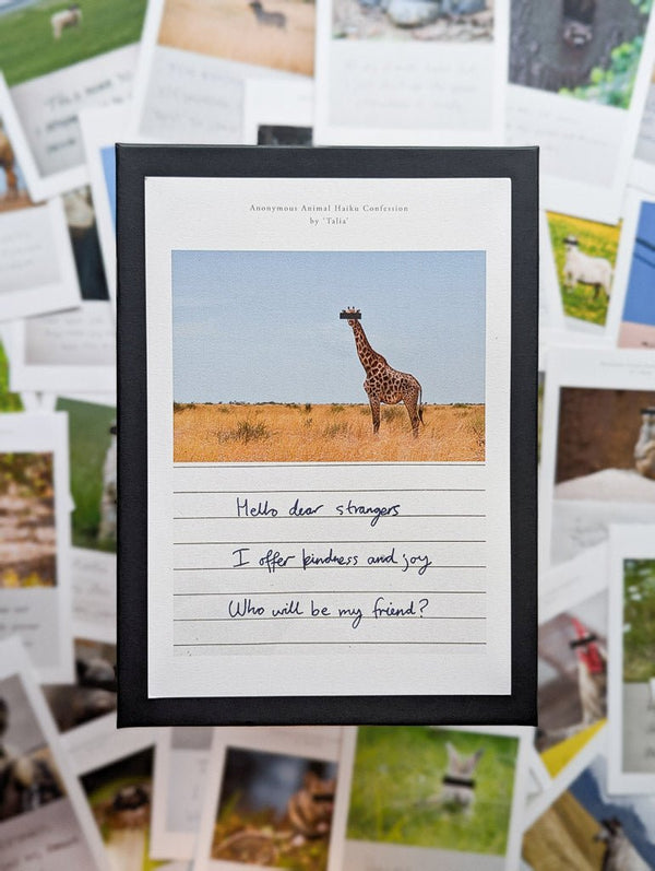 Anonymous Animal Haiku Confessions - The Confession Box - Dan Berg