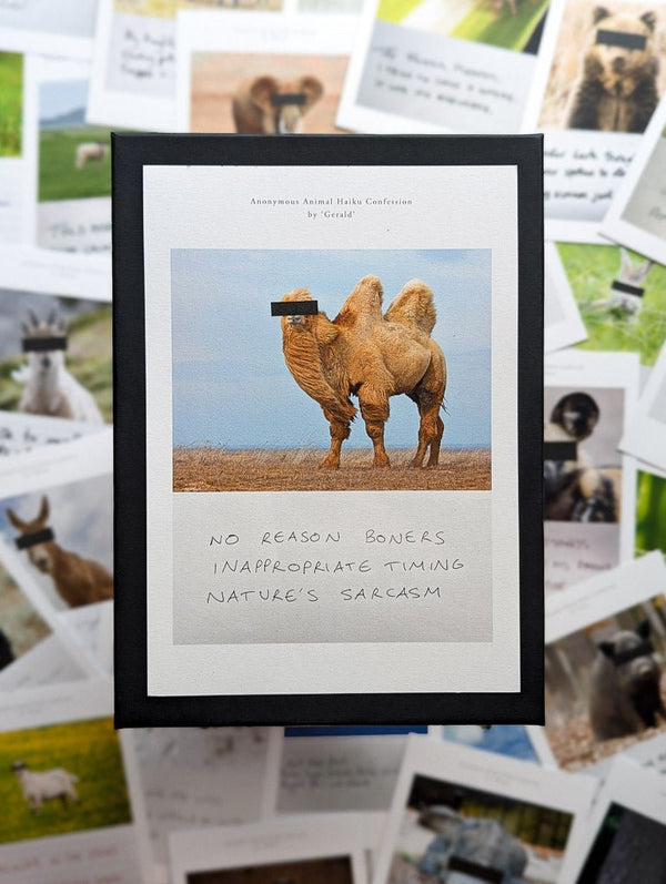 Anonymous Animal Haiku Confessions - The Confession Box - Dan Berg