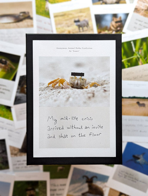 Anonymous Animal Haiku Confessions - The Confession Box - Dan Berg