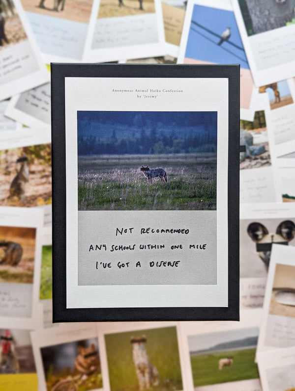 Anonymous Animal Haiku Confessions - The Confession Box - Dan Berg