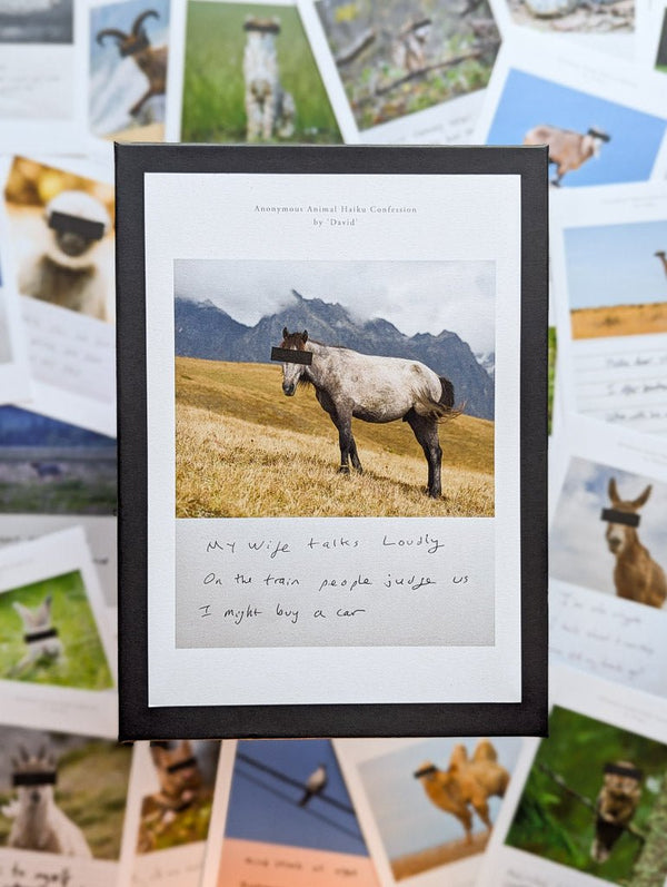 Anonymous Animal Haiku Confessions - The Confession Box - Dan Berg
