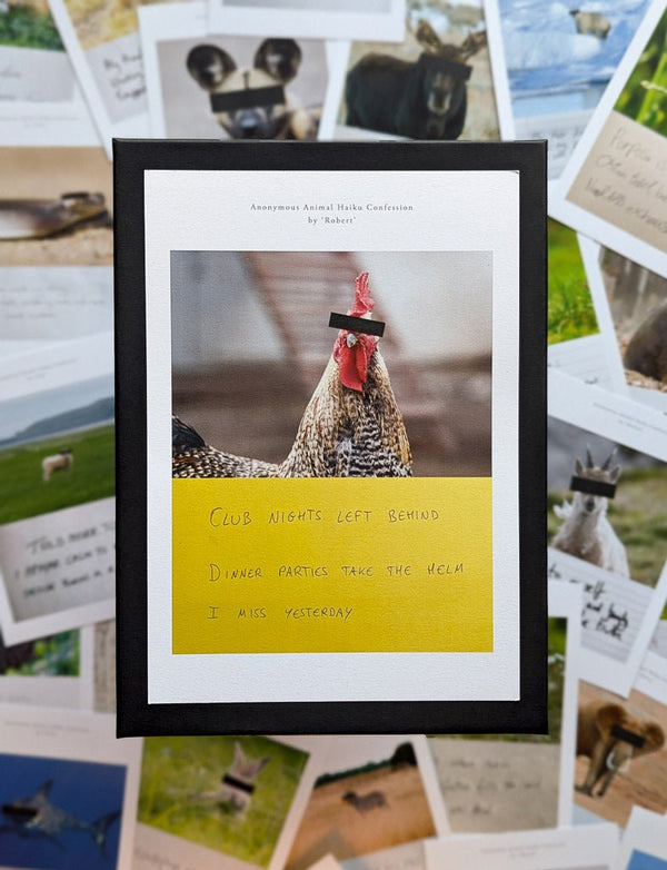 Anonymous Animal Haiku Confessions - The Confession Box - Dan Berg