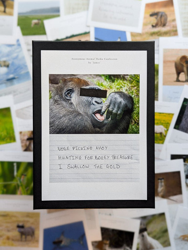 Anonymous Animal Haiku Confessions - The Confession Box - Dan Berg
