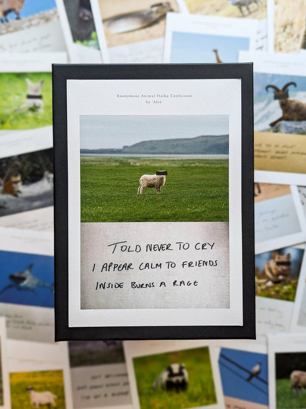 Anonymous Animal Haiku Confessions - The Confession Box - Dan Berg