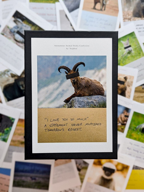 Anonymous Animal Haiku Confessions - The Confession Box - Dan Berg