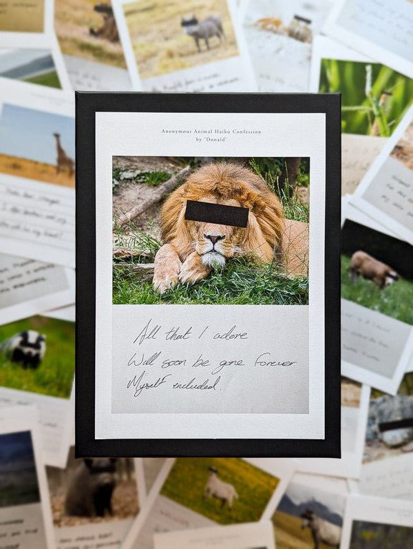 Anonymous Animal Haiku Confessions - The Confession Box - Dan Berg