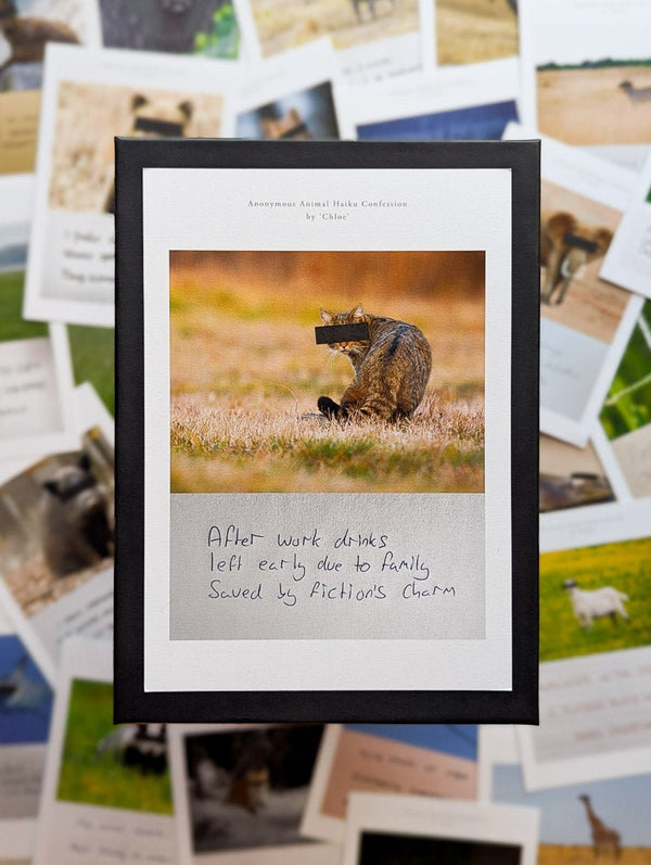 Anonymous Animal Haiku Confessions - The Confession Box - Dan Berg