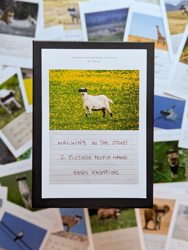 Anonymous Animal Haiku Confessions - The Confession Box - Dan Berg