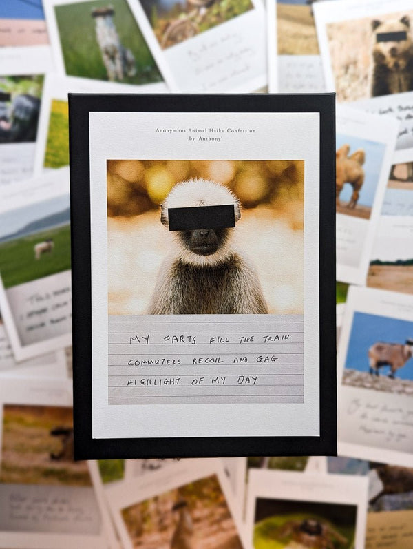 Anonymous Animal Haiku Confessions - The Confession Box - Dan Berg