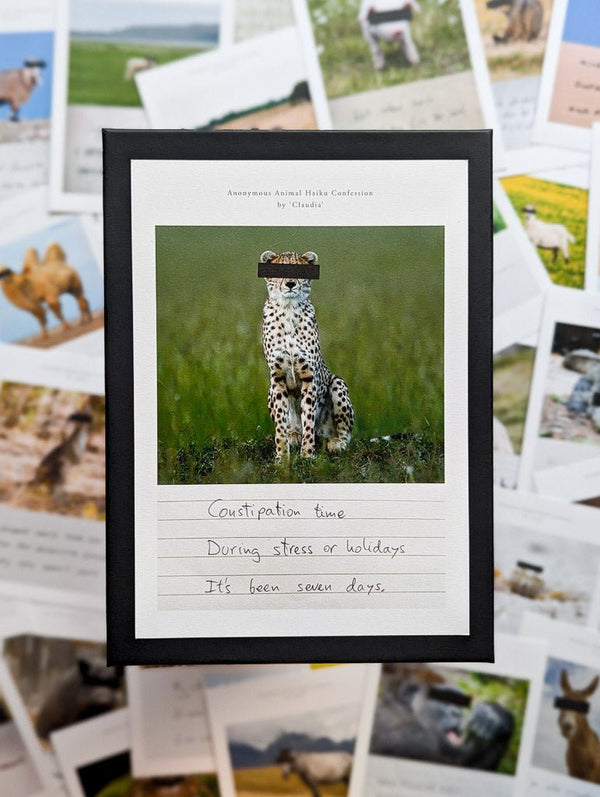 Anonymous Animal Haiku Confessions - The Confession Box - Dan Berg