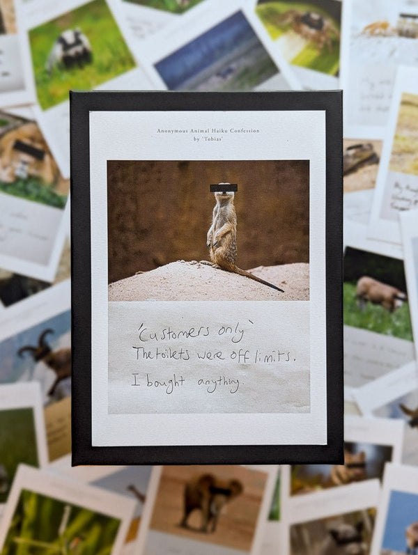 Anonymous Animal Haiku Confessions - The Confession Box - Dan Berg