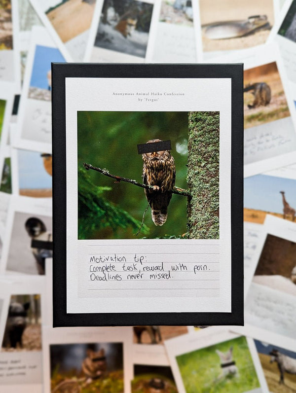 Anonymous Animal Haiku Confessions - The Confession Box - Dan Berg