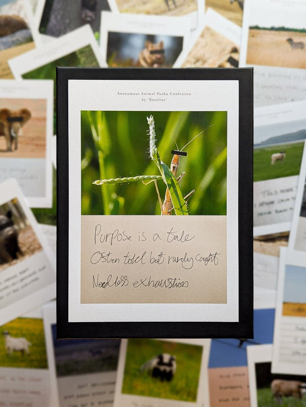 Anonymous Animal Haiku Confessions - The Confession Box - Dan Berg