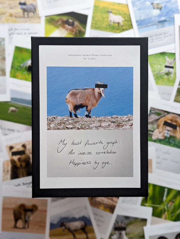 Anonymous Animal Haiku Confessions - The Confession Box - Dan Berg