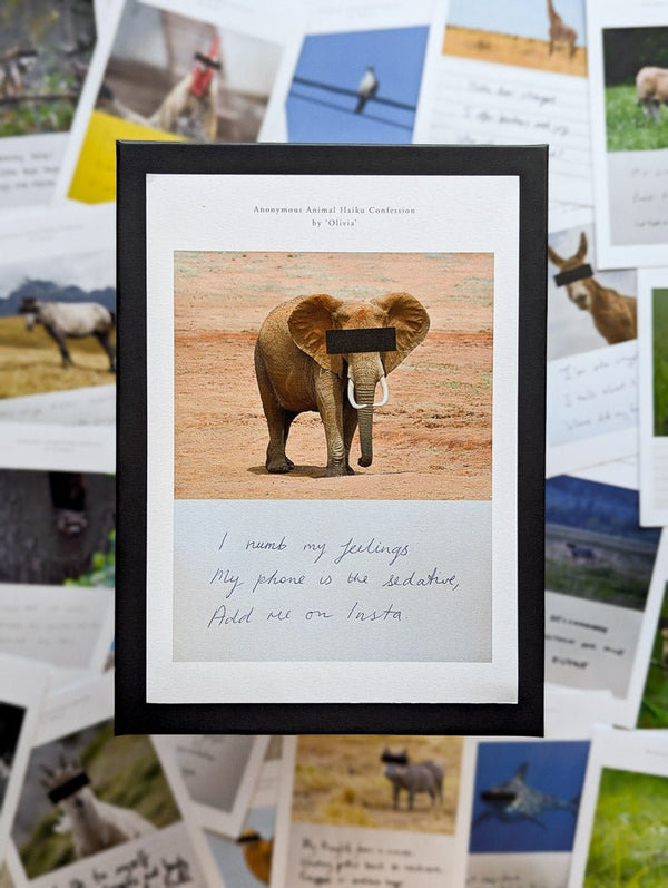 Anonymous Animal Haiku Confessions - The Confession Box - Dan Berg