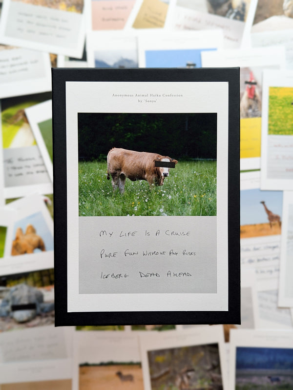 Anonymous Animal Haiku Confessions - The Confession Box - Dan Berg