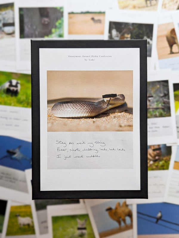 Anonymous Animal Haiku Confessions - The Confession Box - Dan Berg