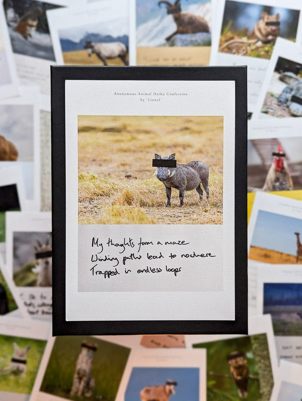 Anonymous Animal Haiku Confessions - The Confession Box - Dan Berg