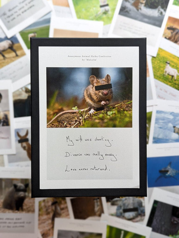 Anonymous Animal Haiku Confessions - The Confession Box - Dan Berg
