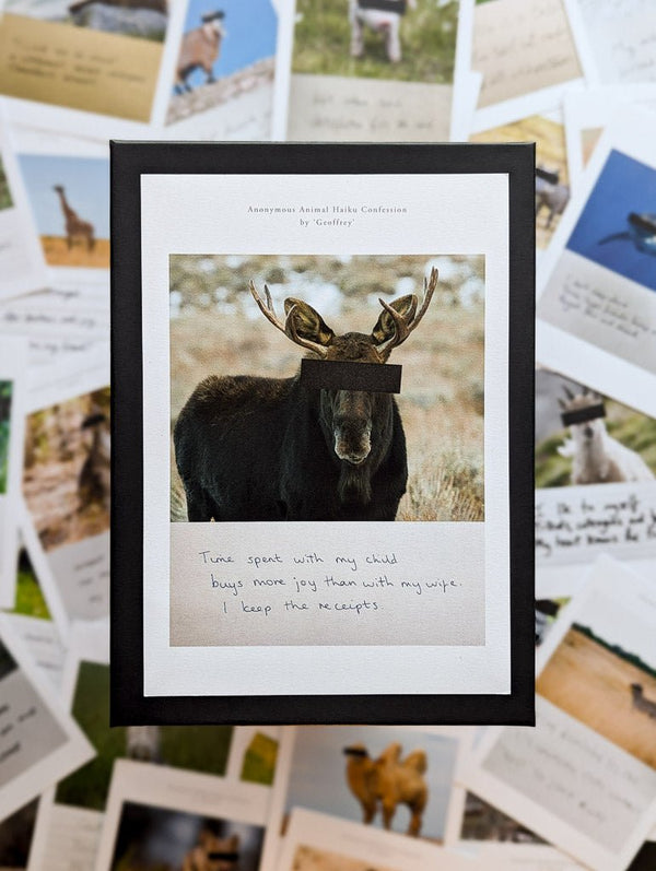 Anonymous Animal Haiku Confessions - The Confession Box - Dan Berg
