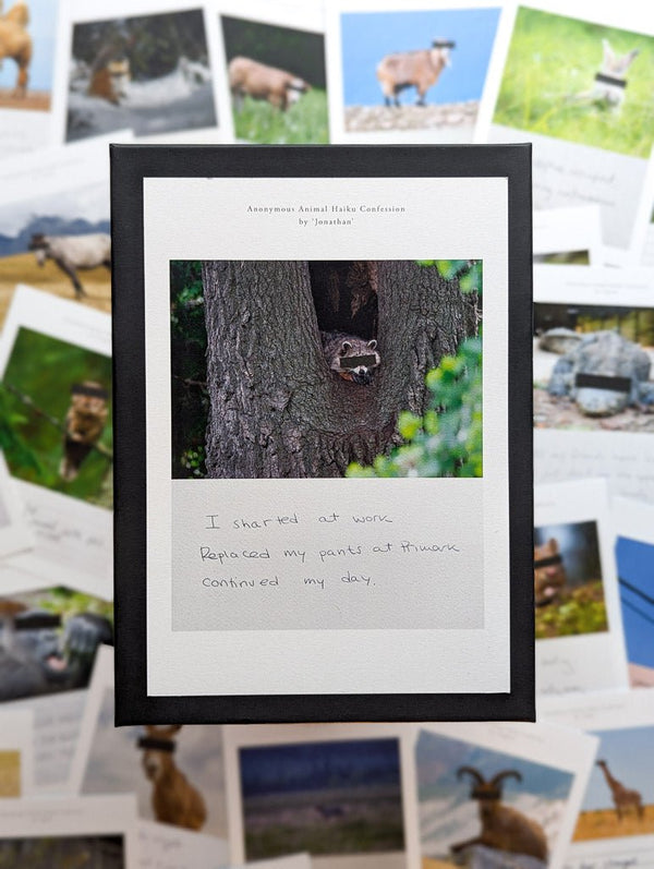 Anonymous Animal Haiku Confessions - The Confession Box - Dan Berg