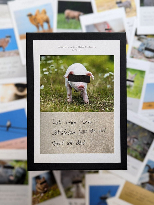 Anonymous Animal Haiku Confessions - The Confession Box - Dan Berg