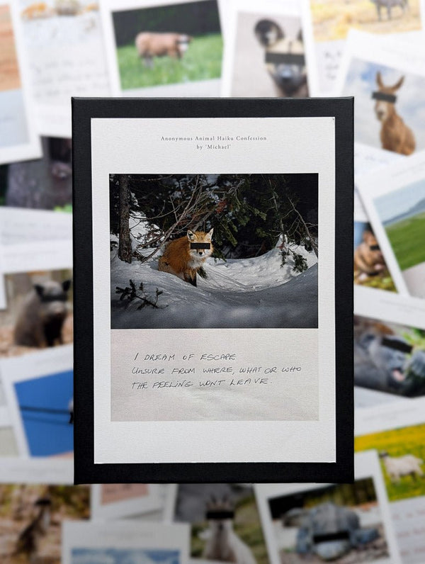 Anonymous Animal Haiku Confessions - The Confession Box - Dan Berg