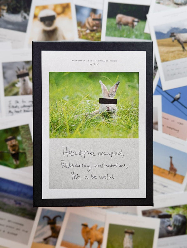 Anonymous Animal Haiku Confessions - The Confession Box - Dan Berg