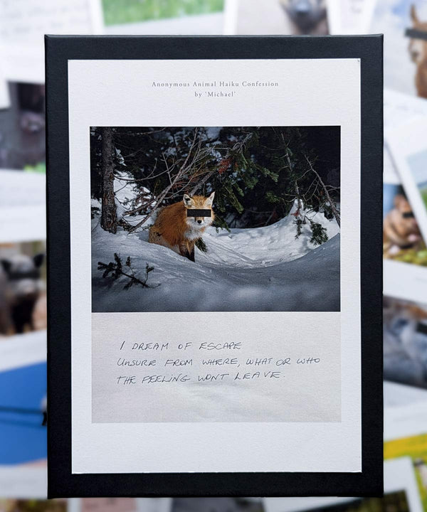 Complete Box Collection - Bergonomix