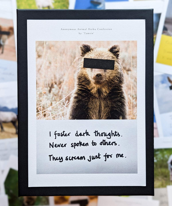 Complete Box Collection - Bergonomix