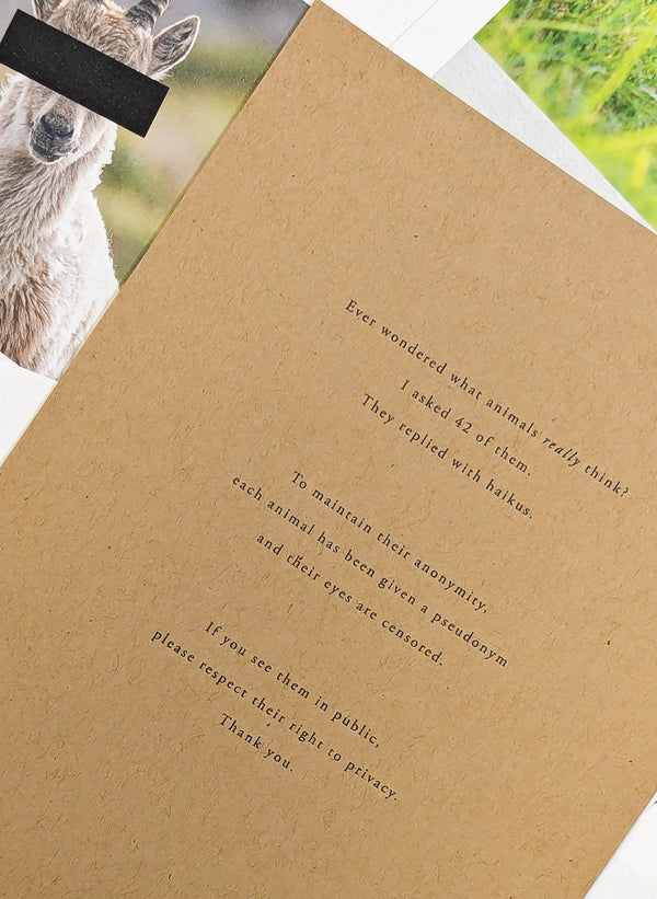 Complete Box Collection - Bergonomix