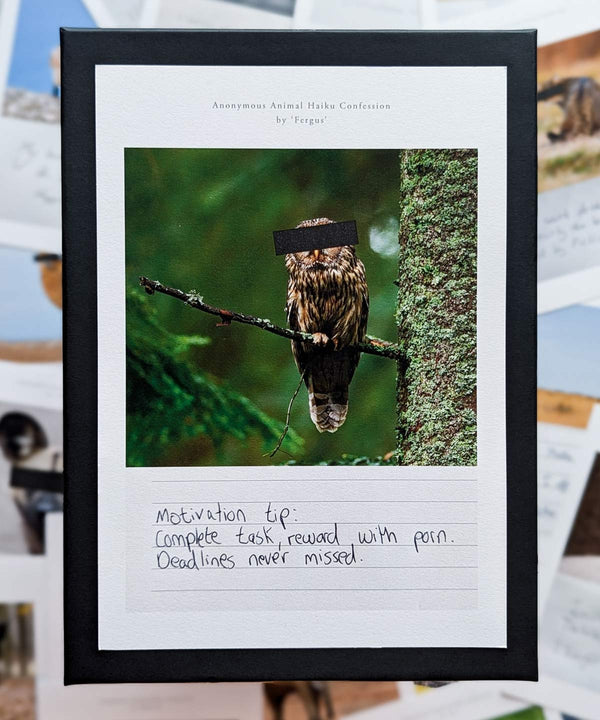 Individual Animal Confession Framed Print - Dan Berg